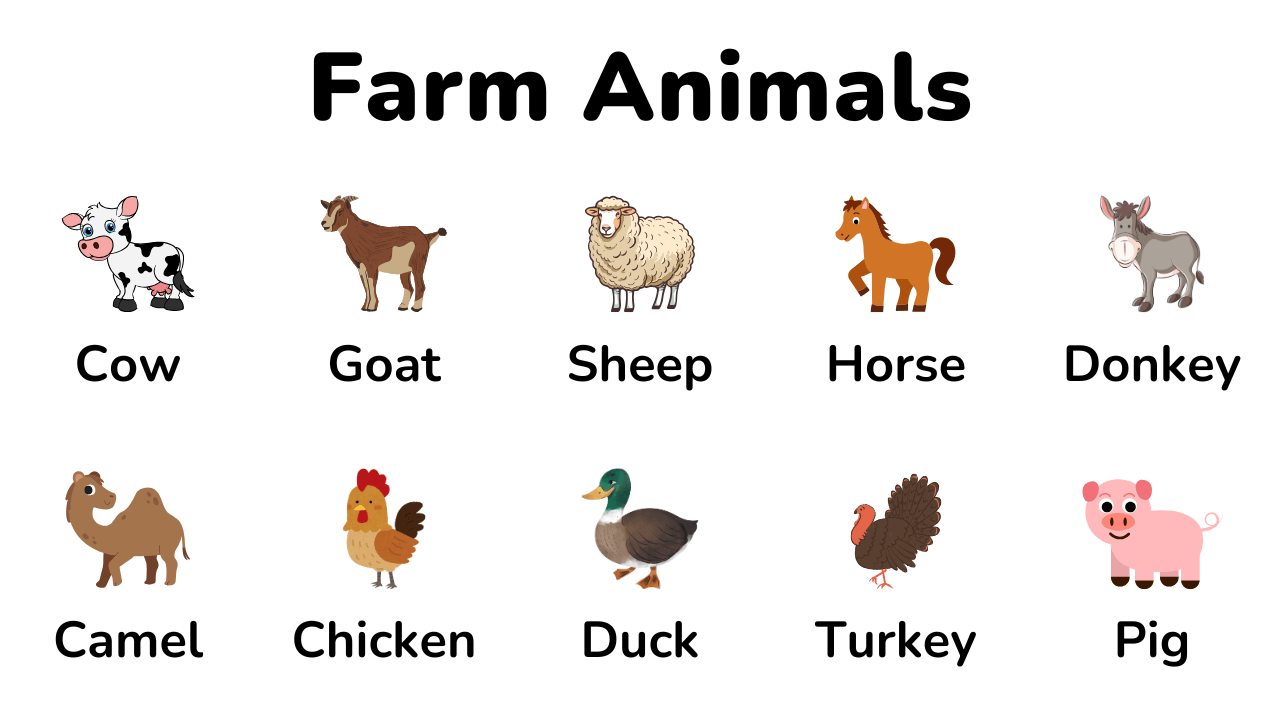farm animals thumbnail