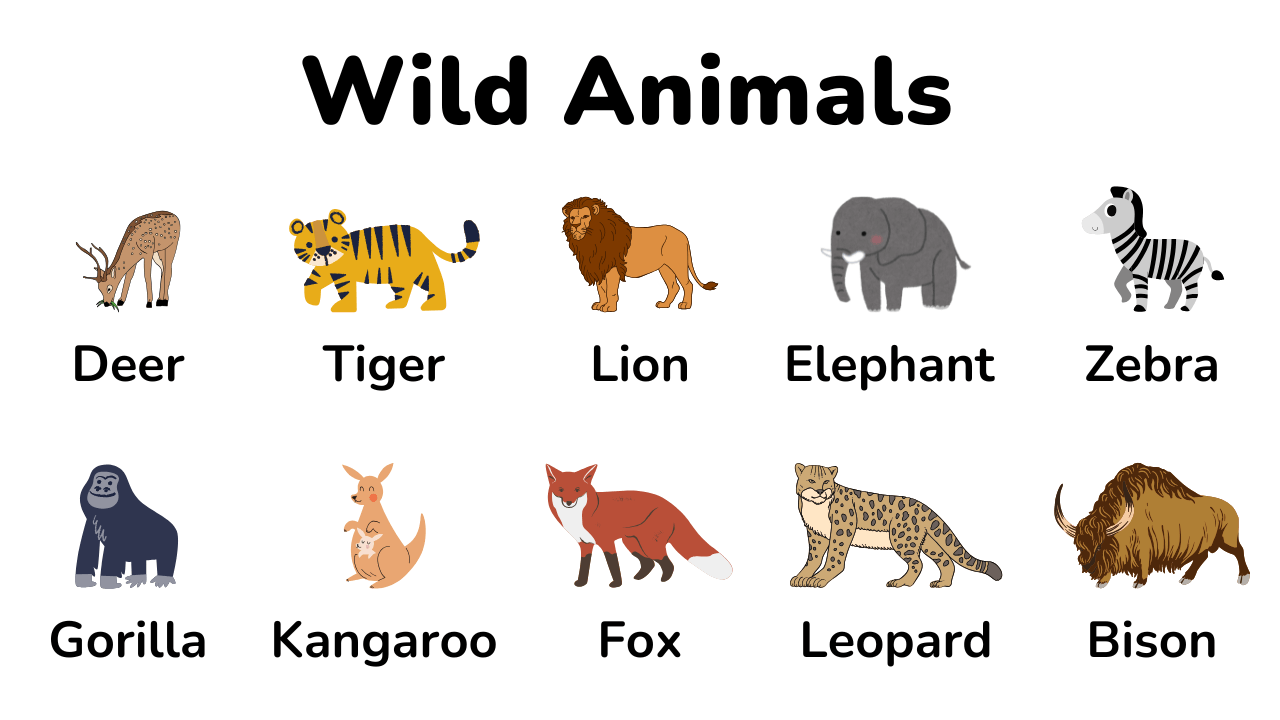 wild animals thumbnail